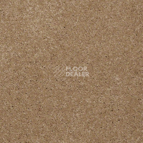 Ковролин Shaw Design Texture Platinum 703 фото 1 | FLOORDEALER