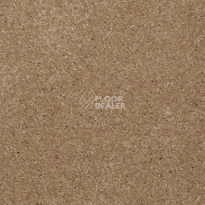 Ковролин Shaw Design Texture Platinum 703 фото 1 | FLOORDEALER