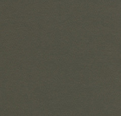 Линолеум Forbo Marmoleum Solid Walton 3376 peat фото 1 | FLOORDEALER