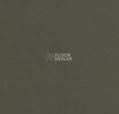 Линолеум Forbo Marmoleum Solid Walton 3376 peat фото 1 | FLOORDEALER