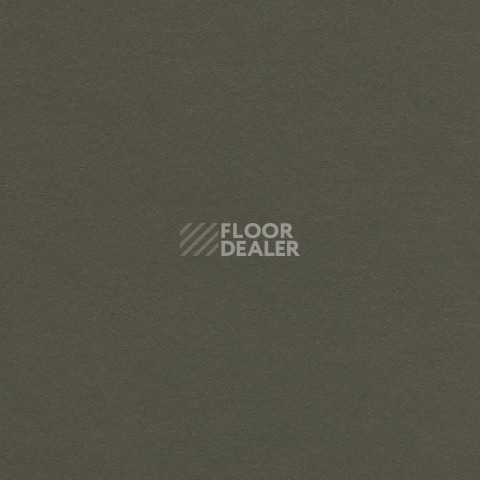 Линолеум Forbo Marmoleum Solid Walton 3376 peat фото 1 | FLOORDEALER