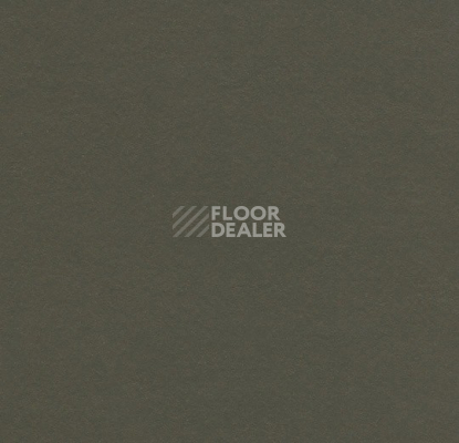 Линолеум Forbo Marmoleum Solid Walton 3376 peat фото 1 | FLOORDEALER