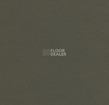 Линолеум Forbo Marmoleum Solid Walton 3376 peat фото 1 | FLOORDEALER