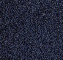 Ковровая плитка Interface Human Nature 830 608004 Cobalt фото 1 | FLOORDEALER