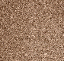 Ковролин ITC Evolve Evolve 43 фото 1 | FLOORDEALER