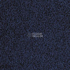 Ковровая плитка Interface Human Nature 830 608004 Cobalt фото 1 | FLOORDEALER