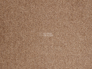 ITC Evolve Evolve 43 фото 1 | FLOORDEALER