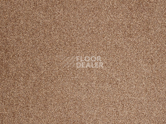 Ковролин ITC Evolve Evolve 43 фото 1 | FLOORDEALER