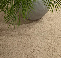 Haima Noble 41 фото 10 | FLOORDEALER