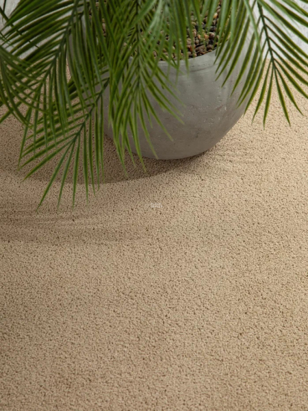 Haima Noble 41 фото 10 | FLOORDEALER