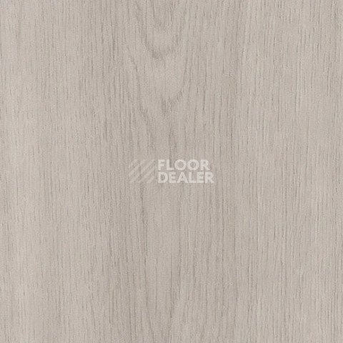 Кварцвиниловые полы Forbo allura decibel 0.8 wood 5301AD8 smoke smooth oak (120x20 cm) фото 1 | FLOORDEALER