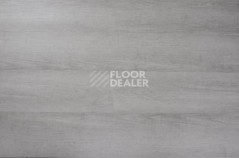 Кварцвиниловые полы Evofloor Optima Click 4.2мм Дуб Серебряный фото 1 | FLOORDEALER