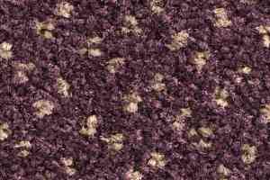 Ковролин Balsan Capitol Capitol 890 фото  | FLOORDEALER