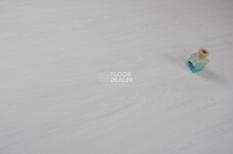 Evofloor Optima Click 4.2мм Дуб Арктический фото 3 | FLOORDEALER