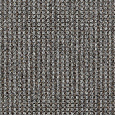 Ковролин Carpet Concept Goi 4 290607 фото 1 | FLOORDEALER