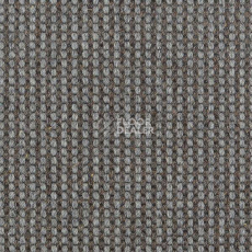 Ковролин Carpet Concept Goi 4 290607 фото 1 | FLOORDEALER