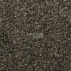 Ковролин Edel Bellezza 284 фото 1 | FLOORDEALER