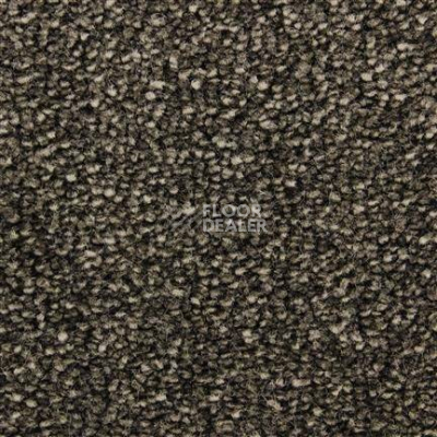 Ковролин Edel Bellezza 284 фото 1 | FLOORDEALER