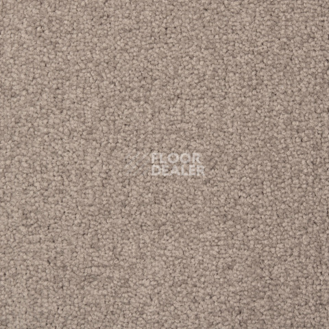 Ковролин Betap Transmit 840 фото 1 | FLOORDEALER