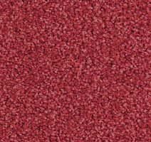 Ковролин Balsan Script 570 фото 1 | FLOORDEALER