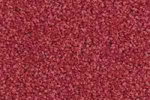 Ковролин Balsan Script 570 фото  | FLOORDEALER