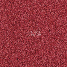 Ковролин Balsan Script 570 фото 1 | FLOORDEALER