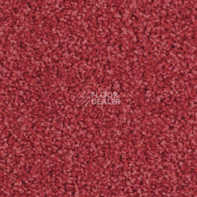 Ковролин Balsan Script 570 фото 1 | FLOORDEALER