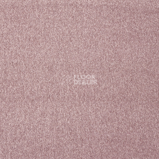 Ковролин AW Satisfaction 16 фото 1 | FLOORDEALER