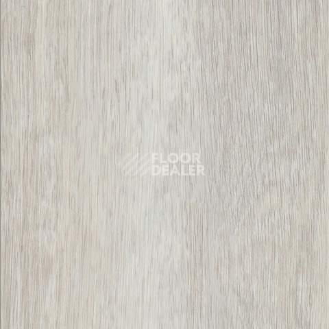 Кварцвиниловые полы AW Invictus Maximus Plank 2.5 мм French Oak Polar фото 1 | FLOORDEALER