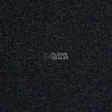 Ковролин Big  Studio 897 фото 1 | FLOORDEALER