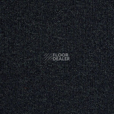 Ковролин Big  Studio 897 фото 1 | FLOORDEALER