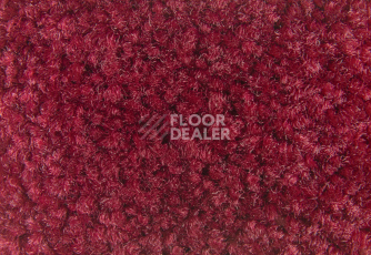 Balsan Bolero 570 фото 2 | FLOORDEALER