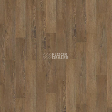 Кварцвиниловые полы Tarkett Art Vinyl NEW AGE EXOTIC фото 1 | FLOORDEALER