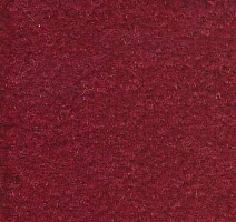 Ковролин Emphatic Beaulieu of America 56845 фото 1 | FLOORDEALER