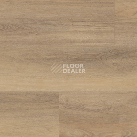 Kronotex Exquisit Plus d80272 Дуб Аванто Натур фото 3 | FLOORDEALER