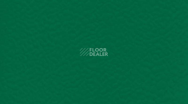 Линолеум Taraflex Performance Uni 6557_Forest фото 1 | FLOORDEALER