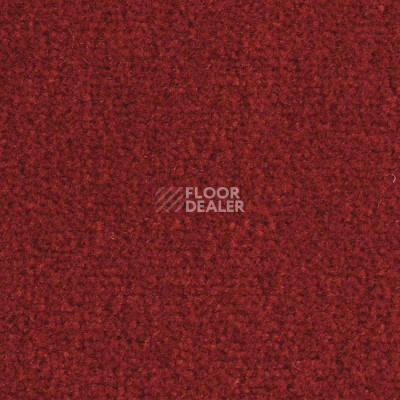 Ковролин Balsan Majestic 575 фото 1 | FLOORDEALER
