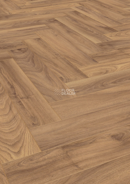 Ламинат Terhurne Herringbone Edition New Дуб Коттедж фото 5 | FLOORDEALER