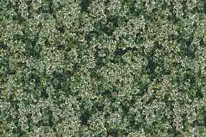 Ковролин Ege Highline Nature rf 52202905 фото  | FLOORDEALER