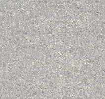 Ковролин Tarkett Dragon Dragon 30331 фото 1 | FLOORDEALER