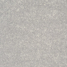 Tarkett Dragon Dragon 30331 фото 1 | FLOORDEALER