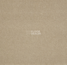 Ковролин Big Royale 337 фото 1 | FLOORDEALER