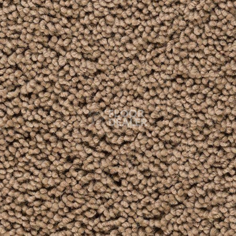 Ковролин Best Wool Pure Palace Lux 144 фото 1 | FLOORDEALER