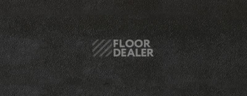 Плинтус Dollken EP 60/13 2716 фото 2 | FLOORDEALER