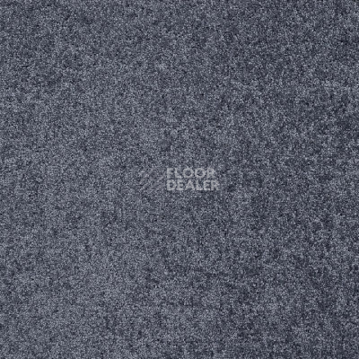 Ковролин Tarkett Capri Capri 43583 фото 1 | FLOORDEALER