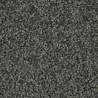 Ковровая плитка Balsan Serenite Sonic Confort 961 фото 1 | FLOORDEALER