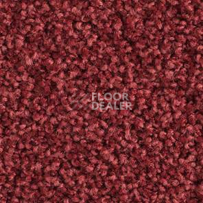 Ковролин Balsan Les Must Les Must 590 фото 1 | FLOORDEALER