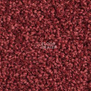 Ковролин Balsan Les Must Les Must 590 фото 1 | FLOORDEALER