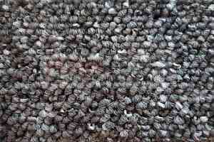 Ковролин Timzo Fortuna 3927 фото  | FLOORDEALER