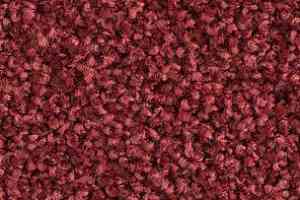 Ковролин Balsan Les Must Les Must 590 фото  | FLOORDEALER